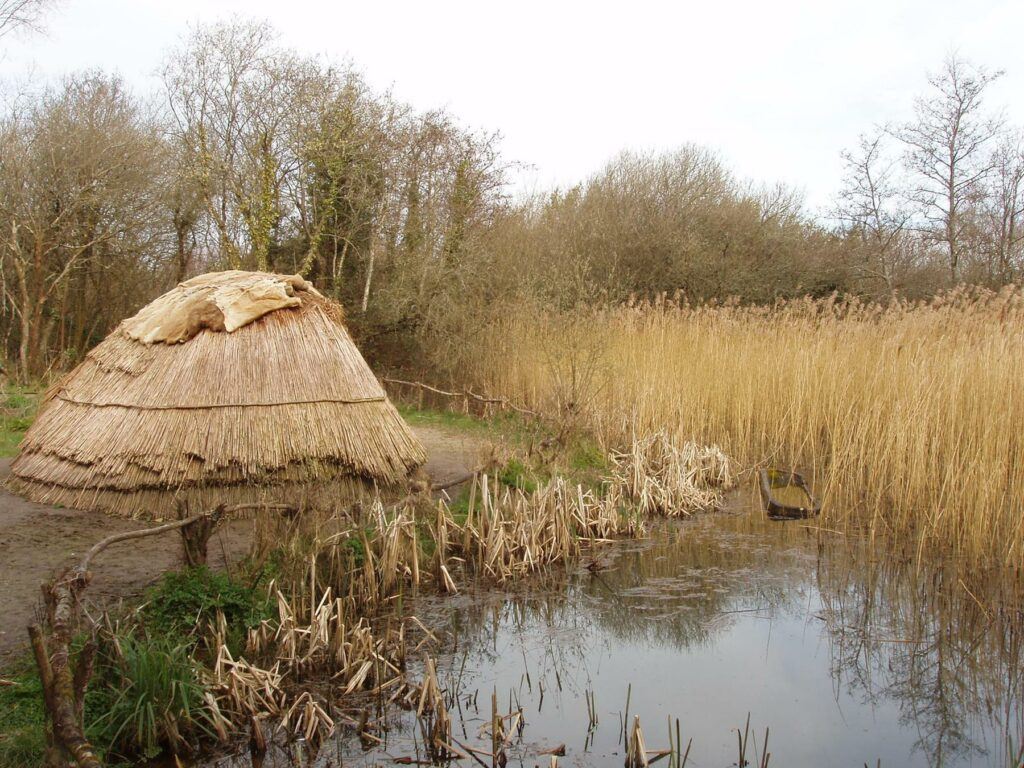 File:Hunter gatherer's camp at Irish National Heritage Park - geograph.org.uk - 1252699.jpg - a bott