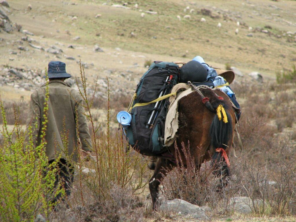 File:Tibet - Trek 1 - 02 our guide and horse carrying our gear (150278005).jpg - a couple of tents s