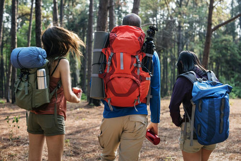 Friends Walking Exploring Outdoors Concept - three people are walking in the woods