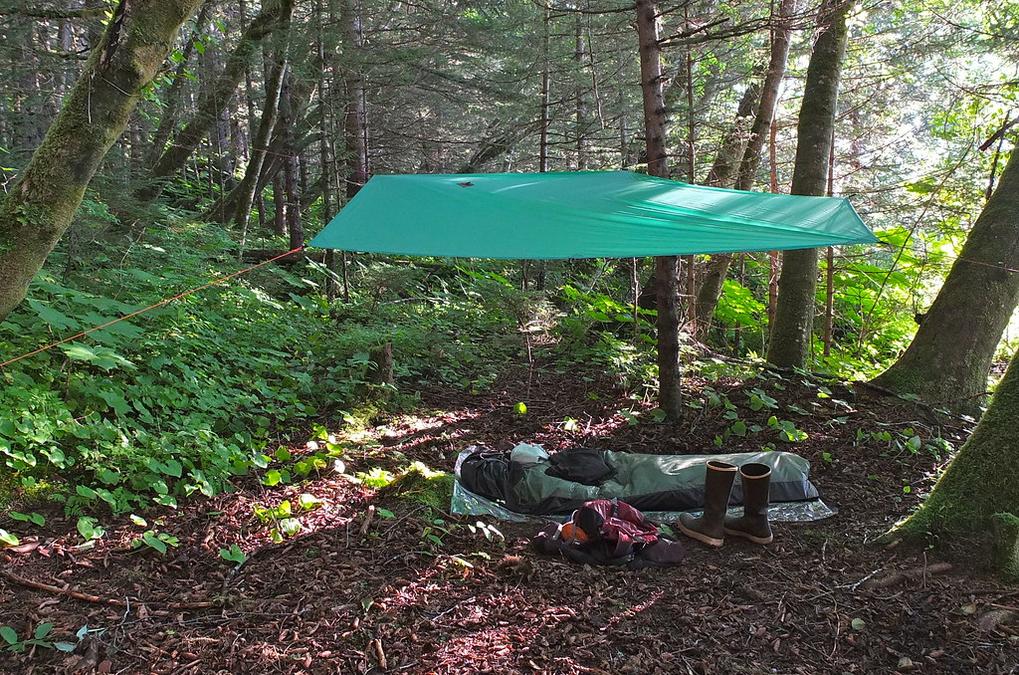 My Solo Camp - a green tent on the ground